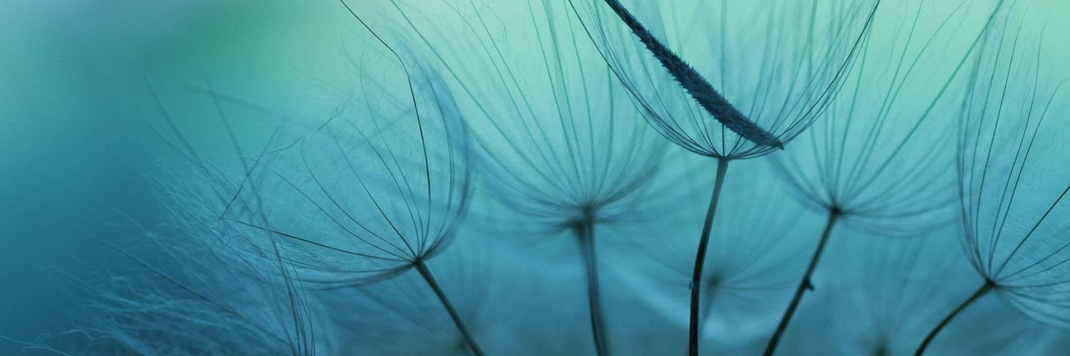 JoPrice11's profile banner image