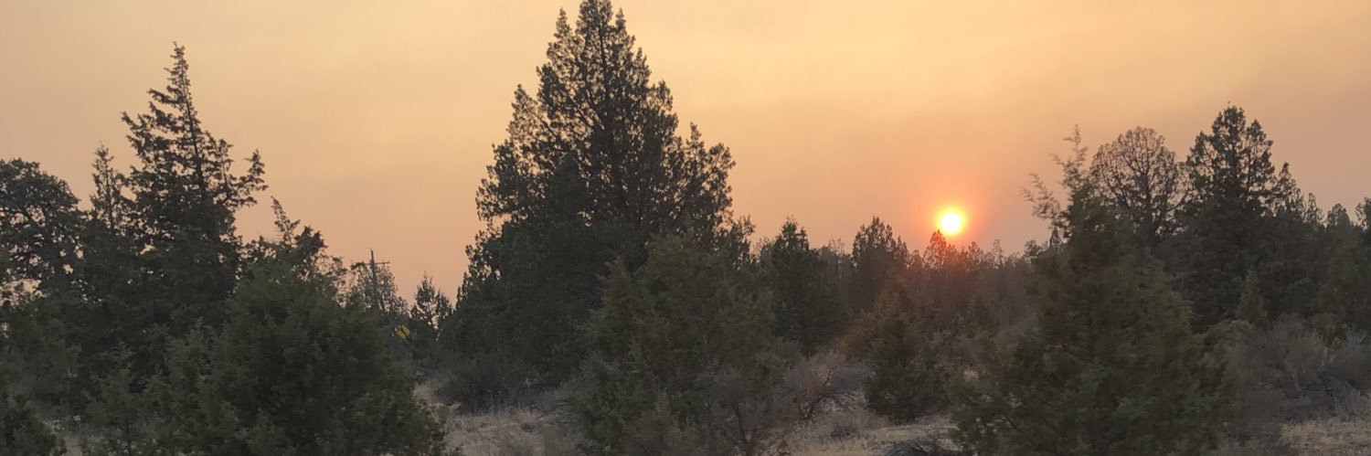 lmray1108's profile banner image