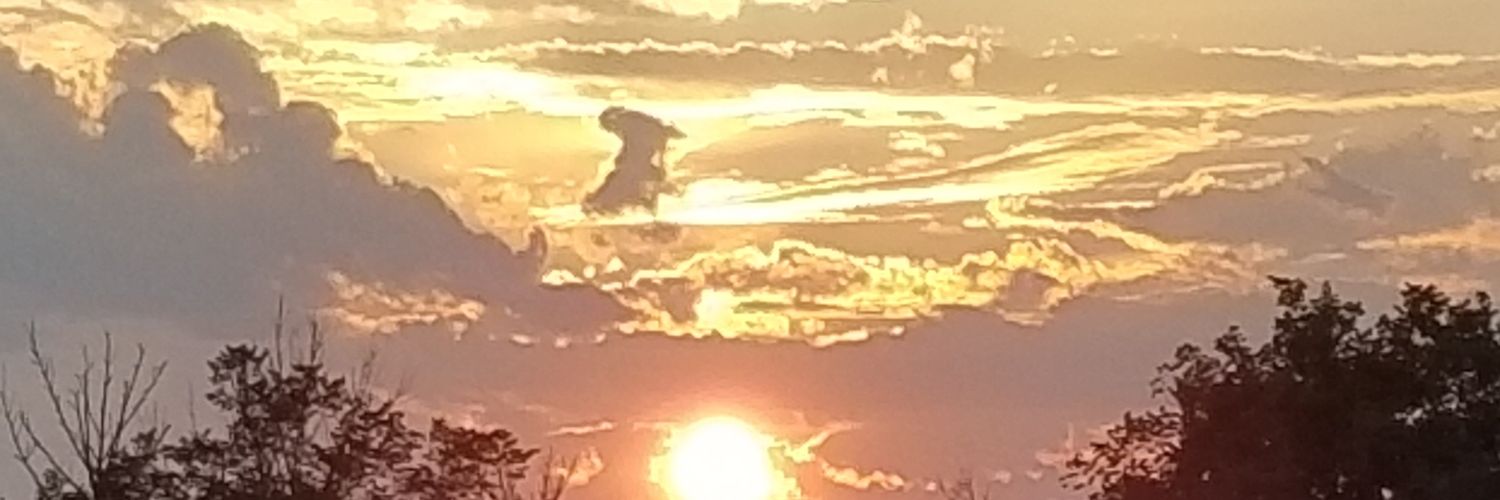 MrWalsh22's profile banner image