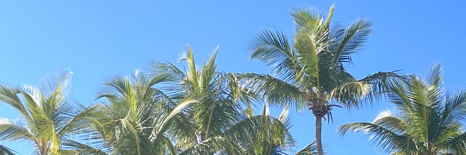 SDePooter's profile banner image