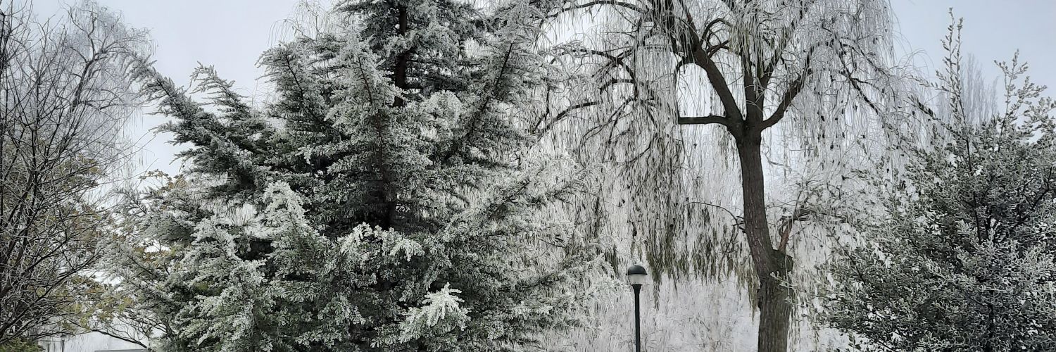 UnBichoEnTuSopa's profile banner image