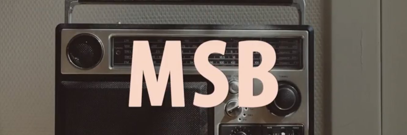 MSB/Michael Sackler-Berner banner