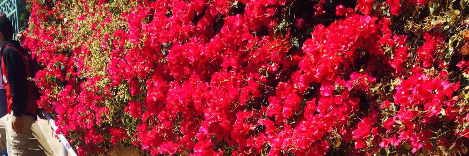 DTorres_xo's profile banner image