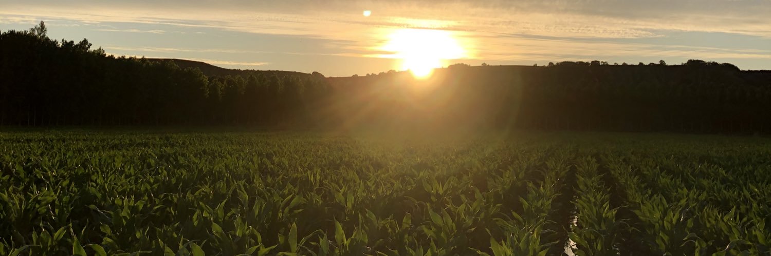 Villarrilda_'s profile banner image