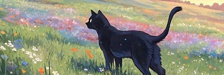 lllithium's profile banner image