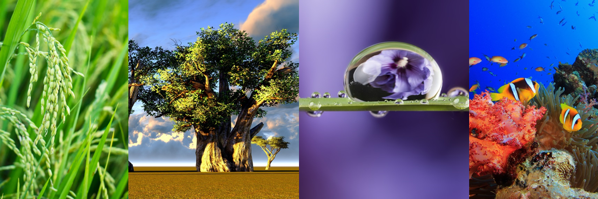 TRI_K_'s profile banner image