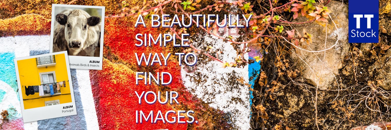 TTStock | Photography 🇬🇧🇳🇱🇺🇦 banner