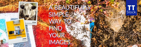 TTStock_Photos Profile Banner