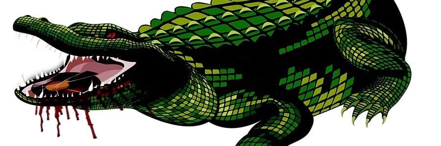 GlosterNick's profile banner image