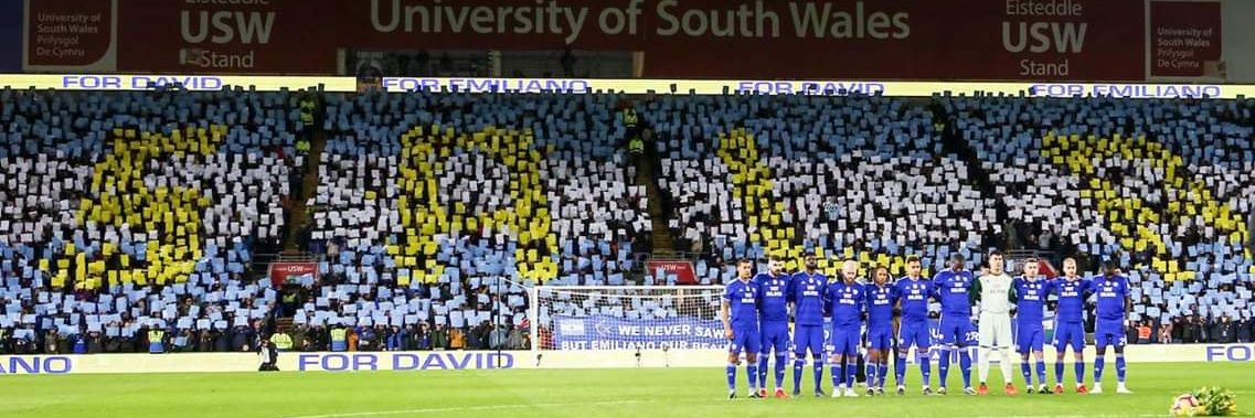 BristolianBluebird banner