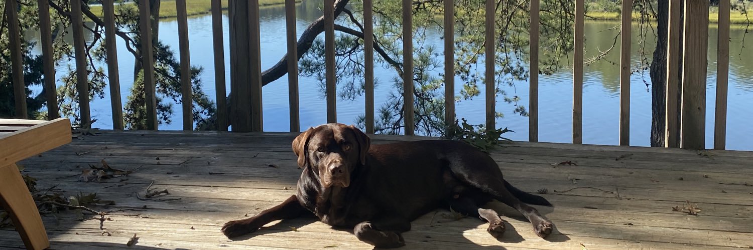 itsbotimeee's profile banner image