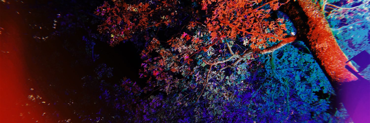 Bmikayle's profile banner image