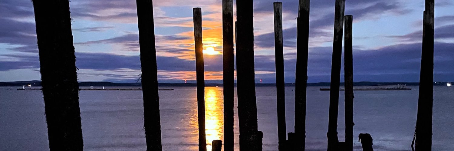 xtorrey's profile banner image