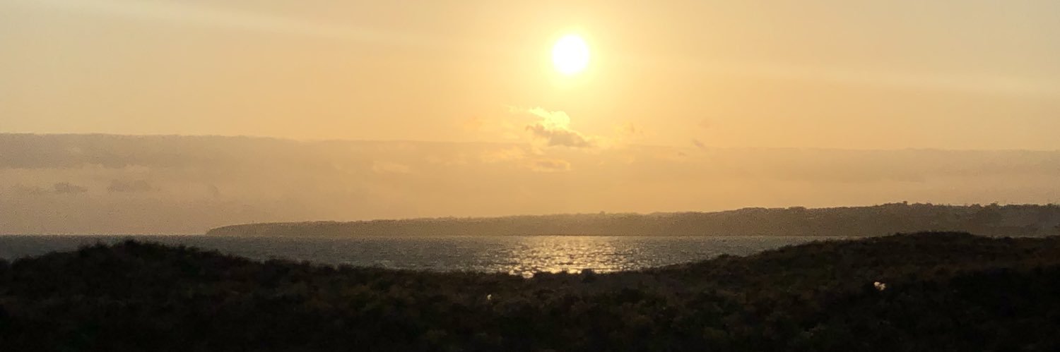 FerrieKate's profile banner image