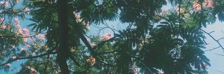 adri banner