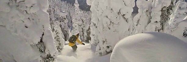 Valeeeeeeeeri's profile banner image