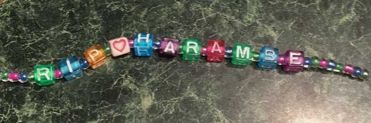 bracelets87's profile banner image