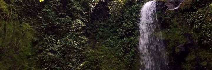 JorgeMedrano16's profile banner image