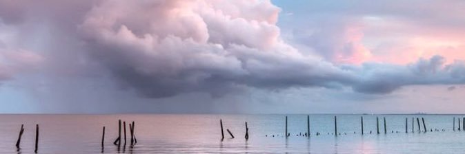 leilei_03's profile banner image