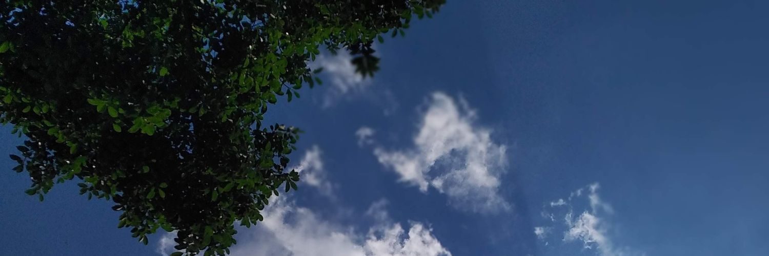 SolVelascoIba's profile banner image
