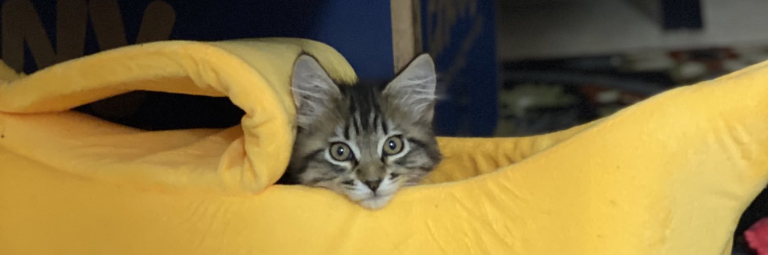 sidney_jo's profile banner image