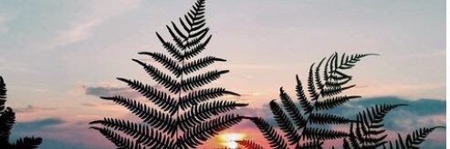 16_RocioGG's profile banner image