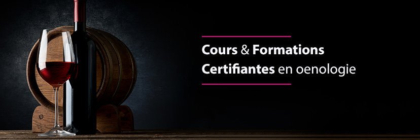 DegustEmoi's profile banner image