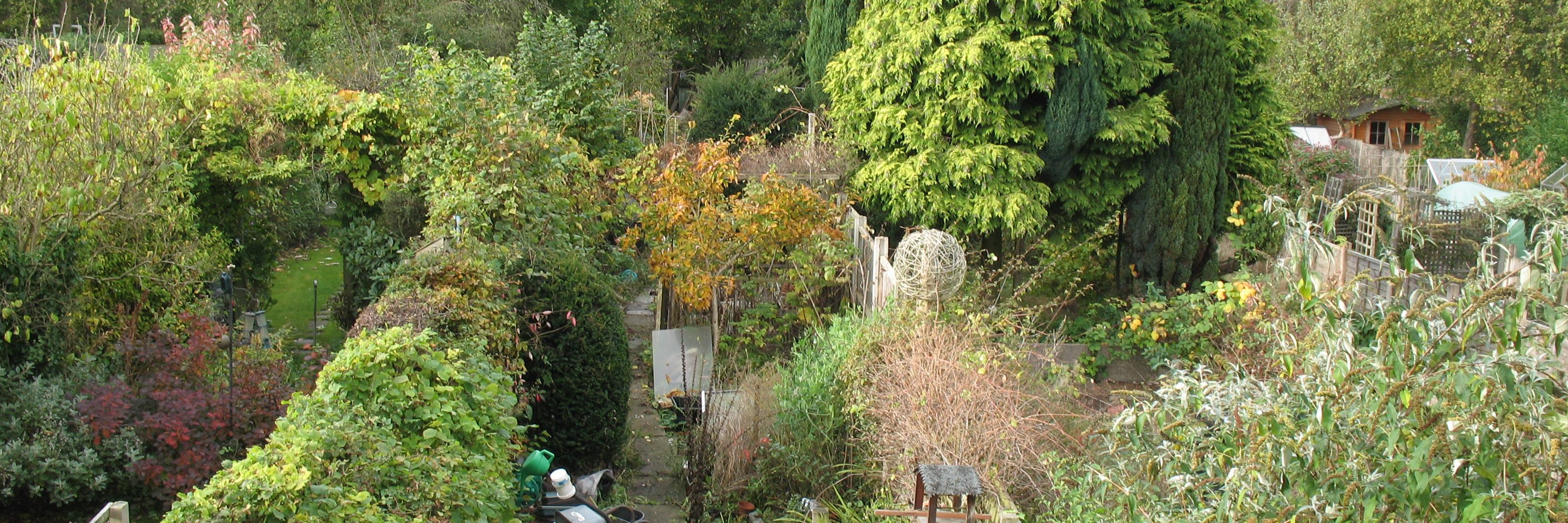 Włodzimierz Colclough banner