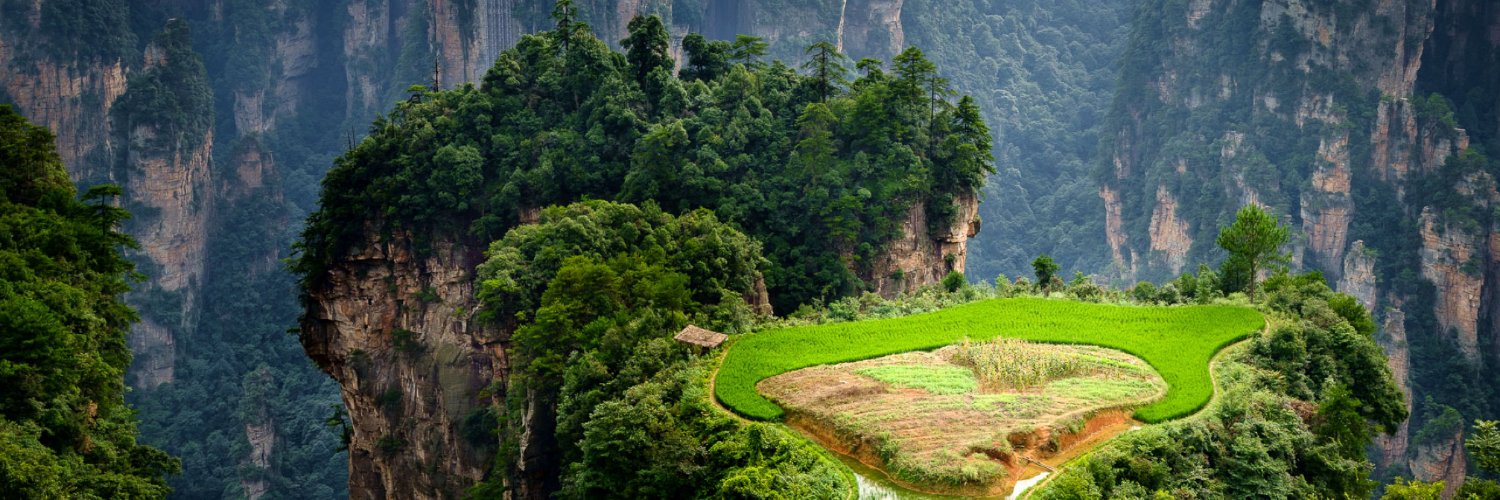 Greeningxin's profile banner image