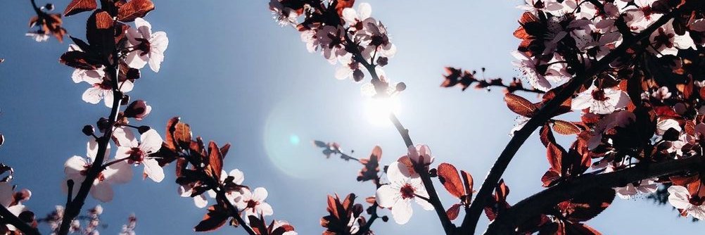 Lauralacaba6's profile banner image
