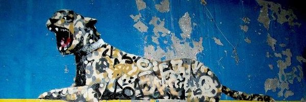 OcelotSports Profile Banner