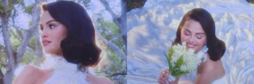 di angelo⁴⁴ ⁸¹ banner