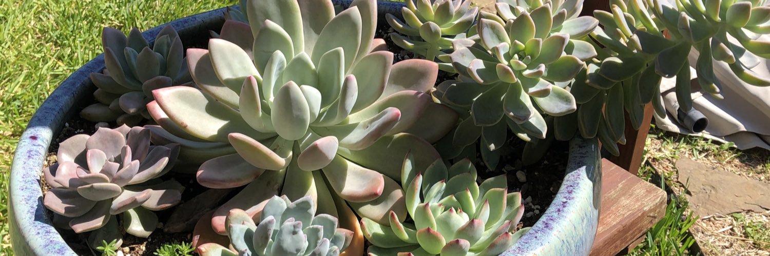 leahmiaa17's profile banner image