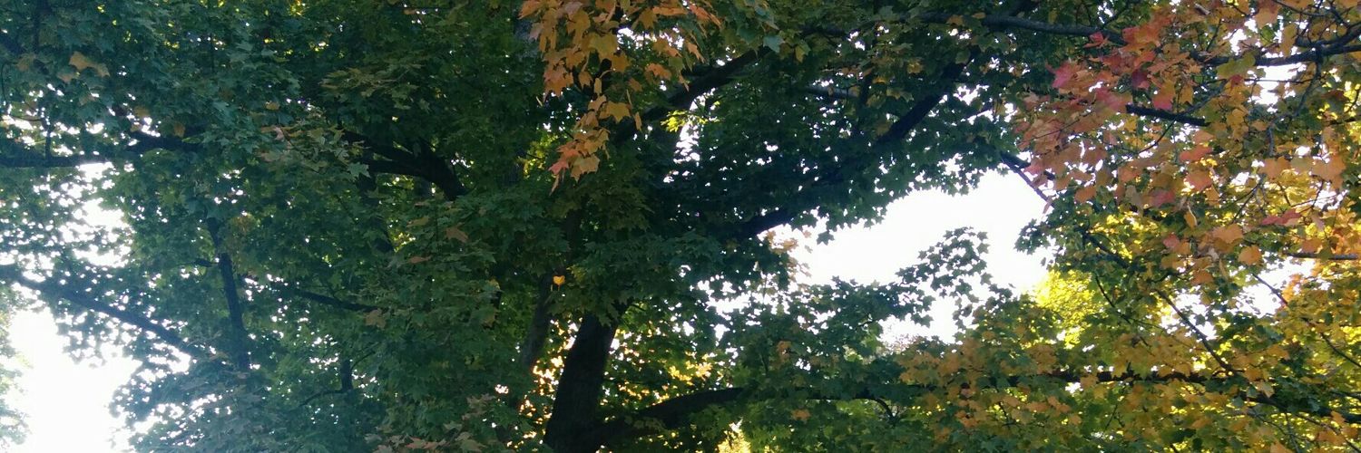 Lenoxus's profile banner image