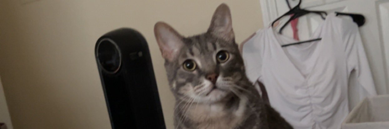 jeninipplesss's profile banner image