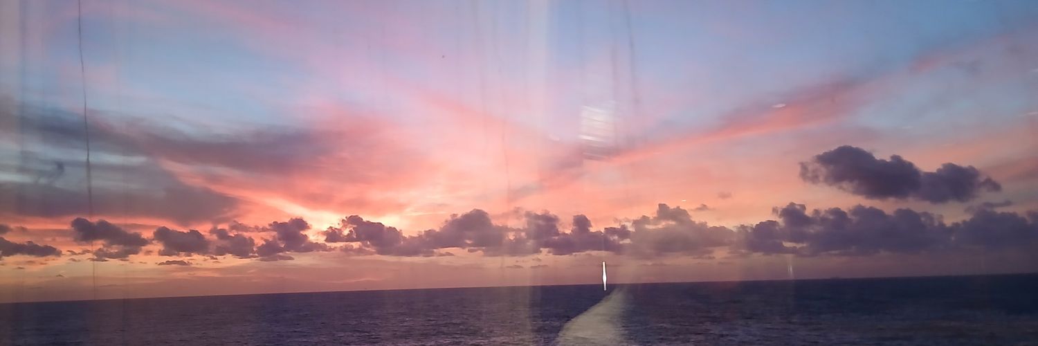 Suzanne Coleman banner