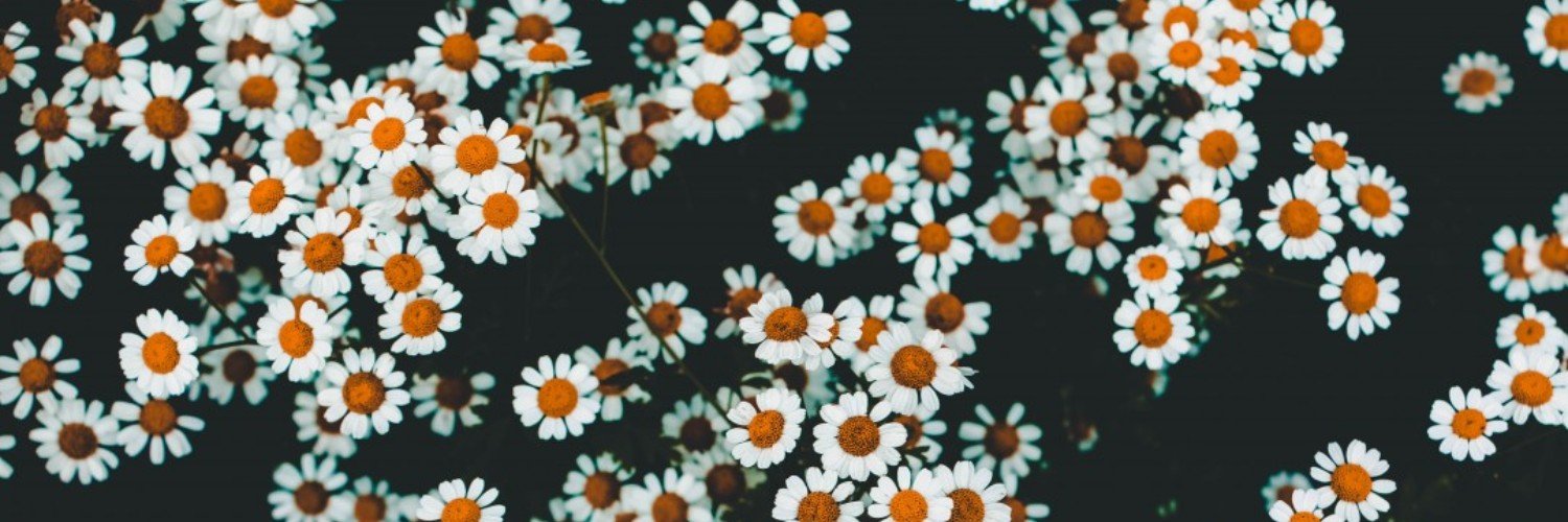 annaosmanLCSW's profile banner image