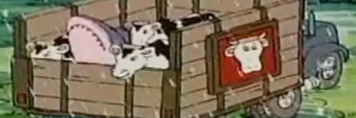 caitzxcx's profile banner image