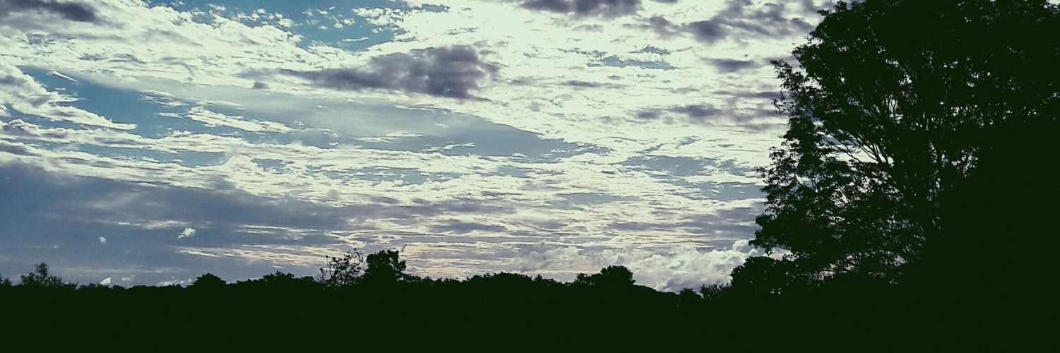 recaldemanuel's profile banner image