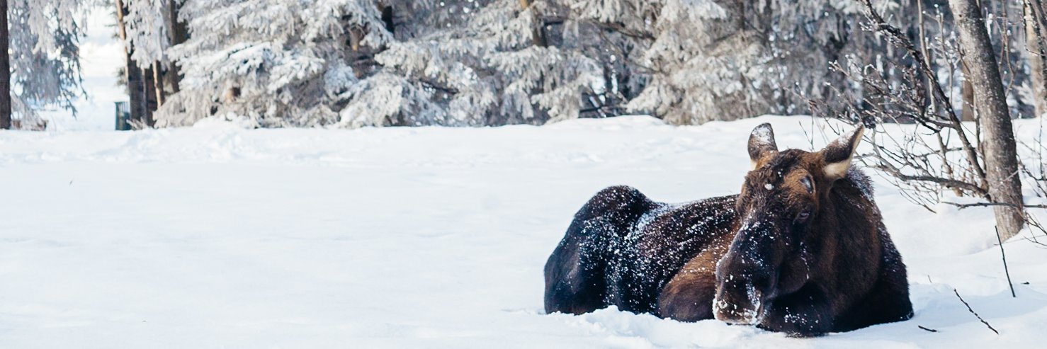 49th State Angel Fund banner