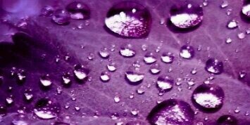 Vikki690's profile banner image