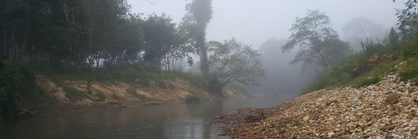 pibool Profile Banner