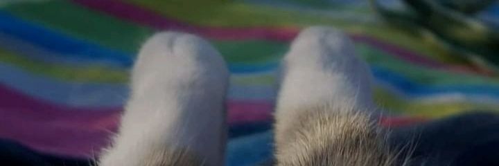 nayibeth86's profile banner image