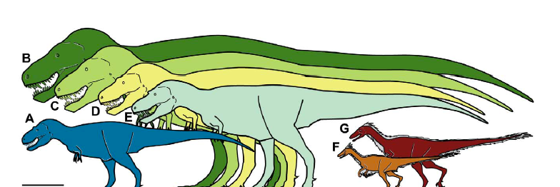party_T_rex's profile banner image