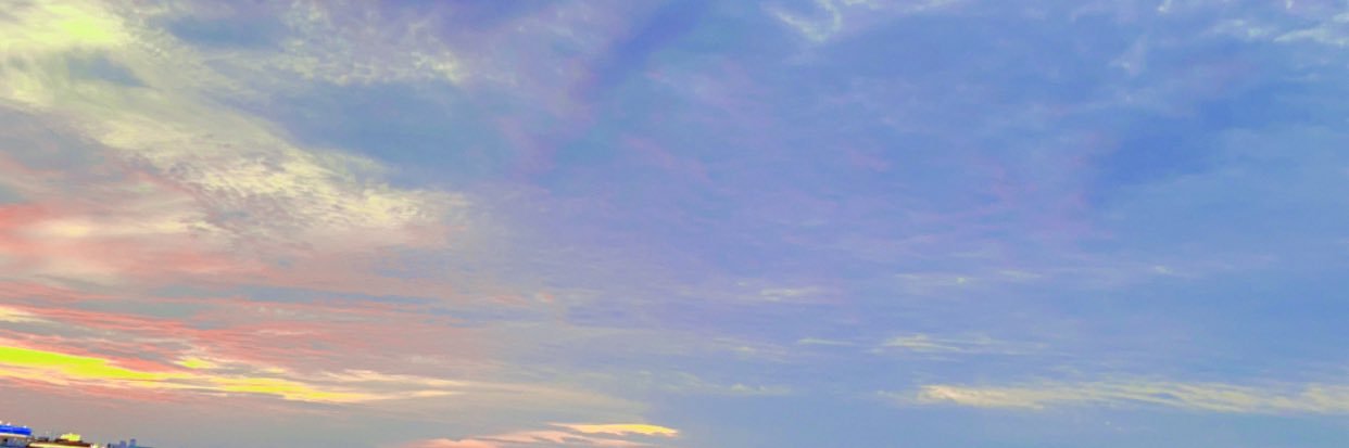 AlaaQuora's profile banner image