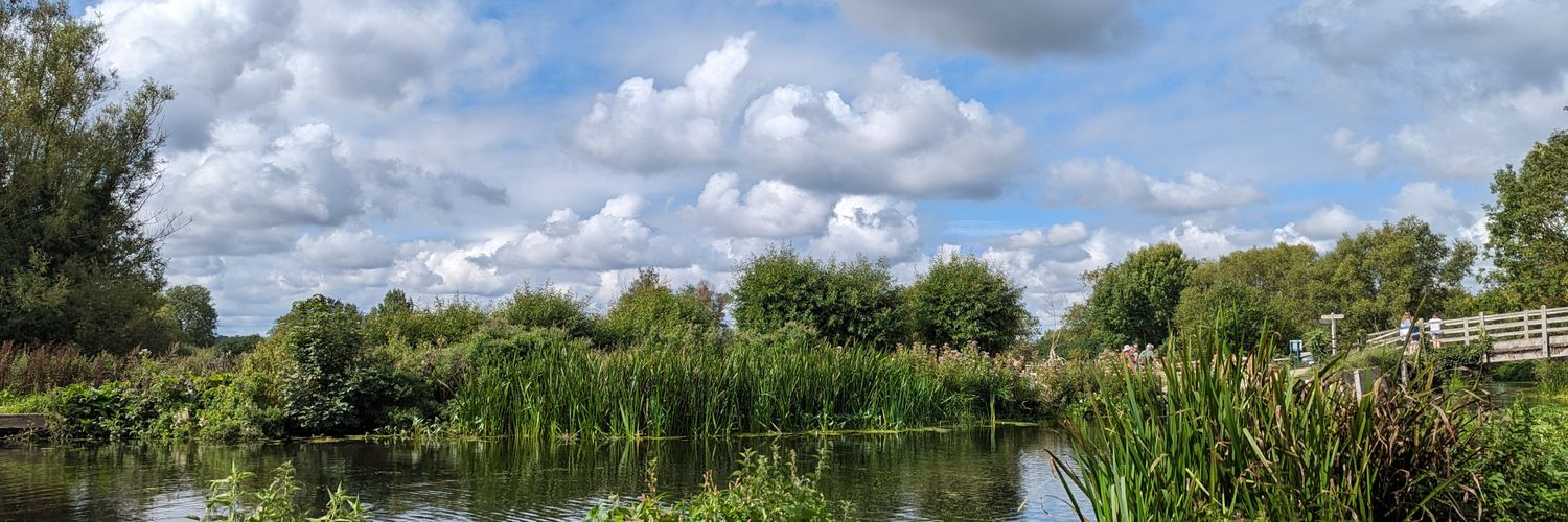 Hetty Carmichael banner