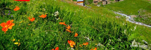 yousef9911 Profile Banner