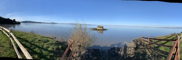 SenorGpaws Profile Banner