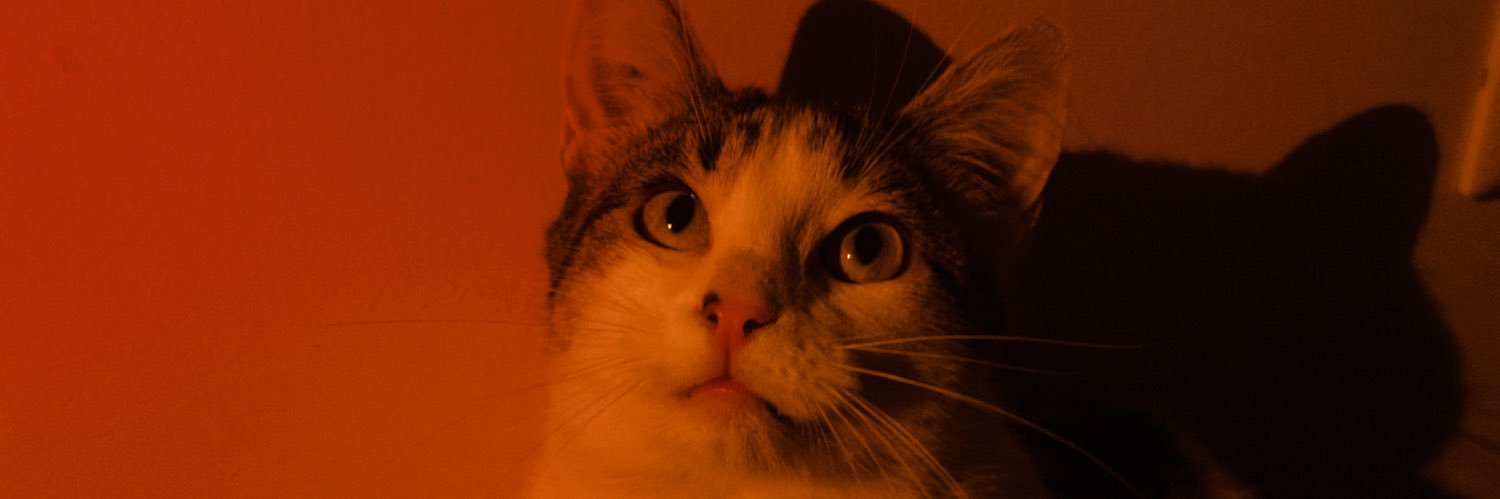 mariawlop's profile banner image