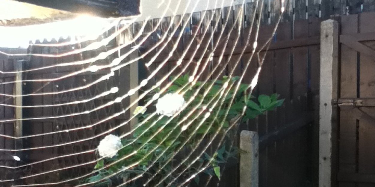 Jordan Frampton banner